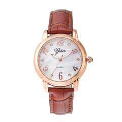 Rose Gold Casual Quarz Schweizer Bewegung wasserdicht Uhr für Dame